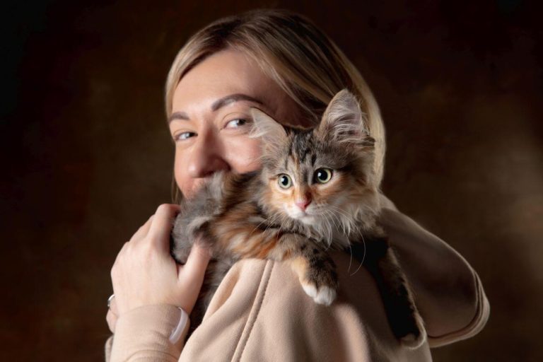 czy koty syberyjskie są agresywne